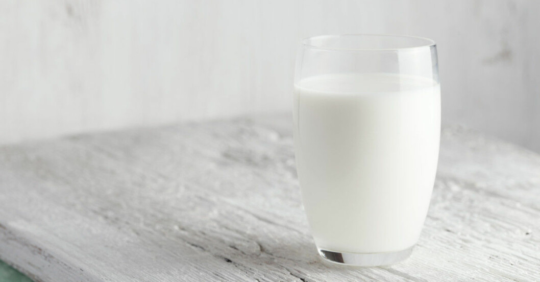 glas mjölk kalcium skelett