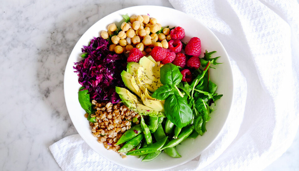 Video: Så gör du en nyttig och smarrig buddha bowl