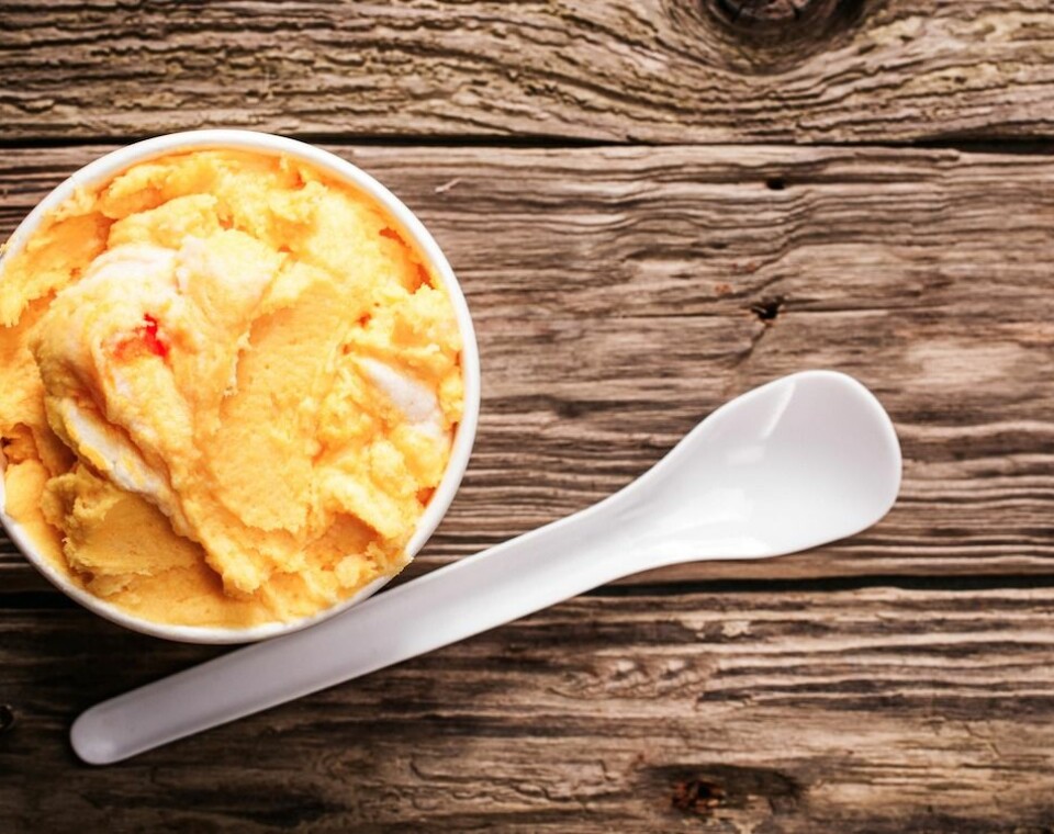 Alla pratar om växter – här är 11 plantor till och med du kan få att överleva