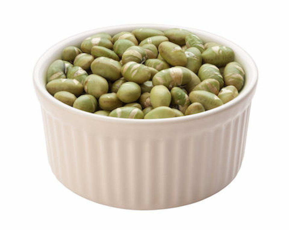 Recept: 5 veganska och proteinrika snacks