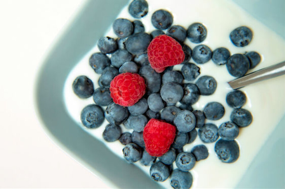 Recept: 5 veganska och proteinrika snacks