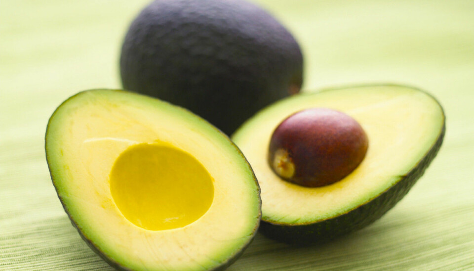 Därför äter du din avokado på helt fel sätt