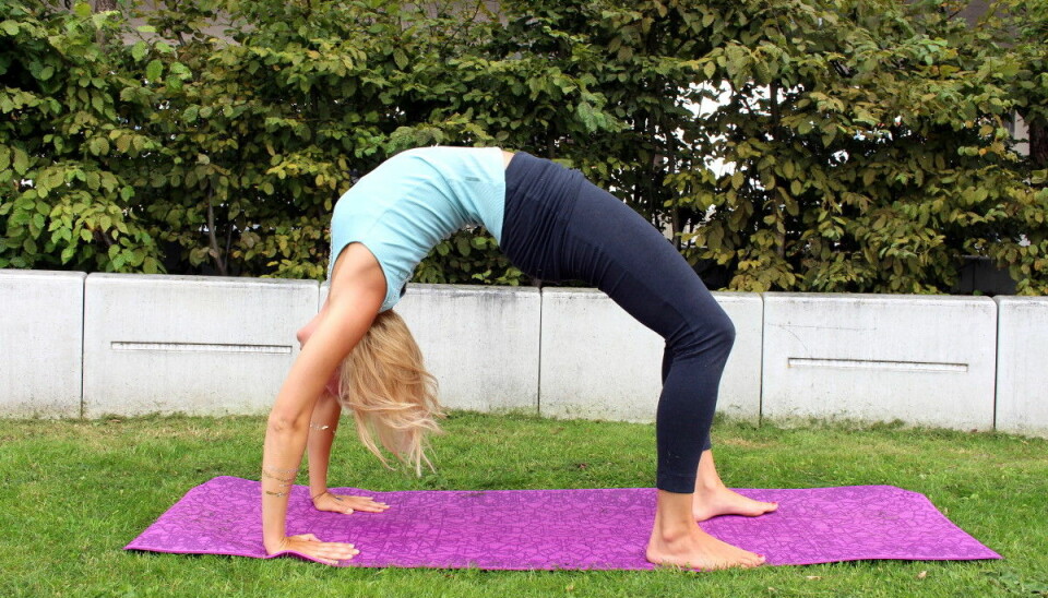 Yogautmaning dag 26: Lär dig wheel