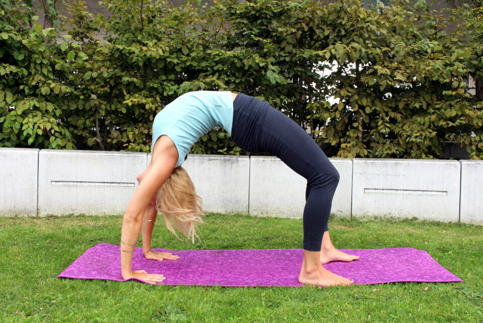 Veckans stora yogapass: Position 23-29