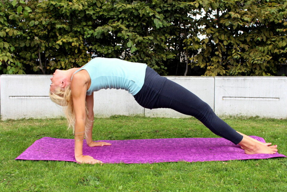 Veckans stora yogapass: Position 23-29