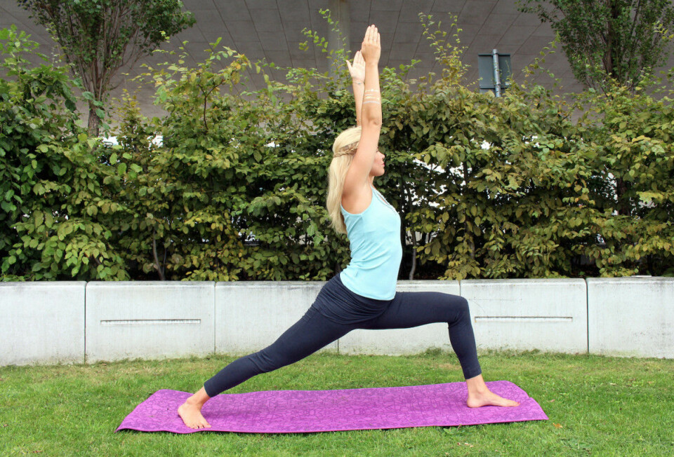 Veckans stora yogapass: Position 9-15