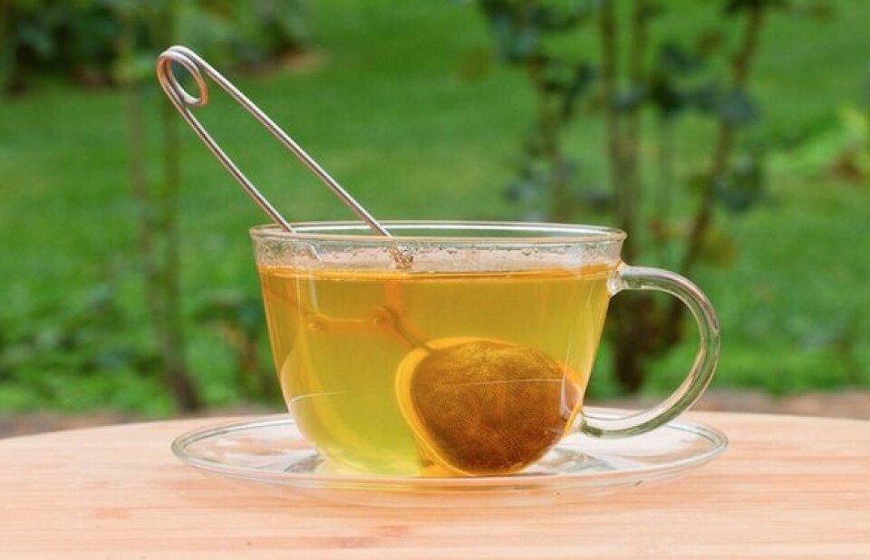 Därför äter du din avokado på helt fel sätt