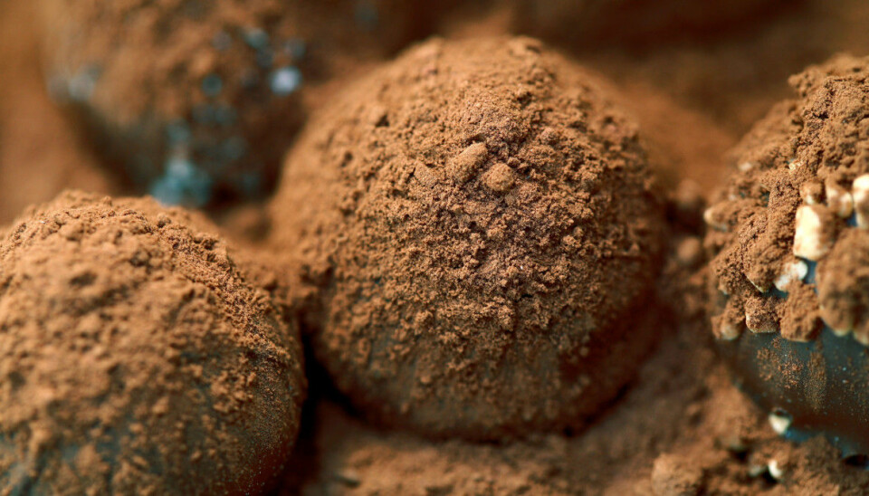 Recept: Nyttiga nutellabollar med fyra ingredienser