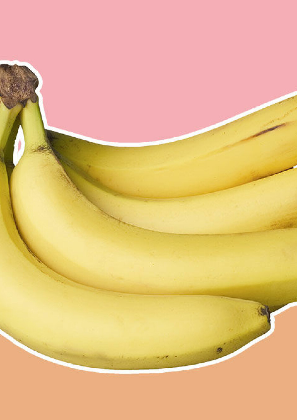 21 snygga vårjackor till våren 2016 i butik nu