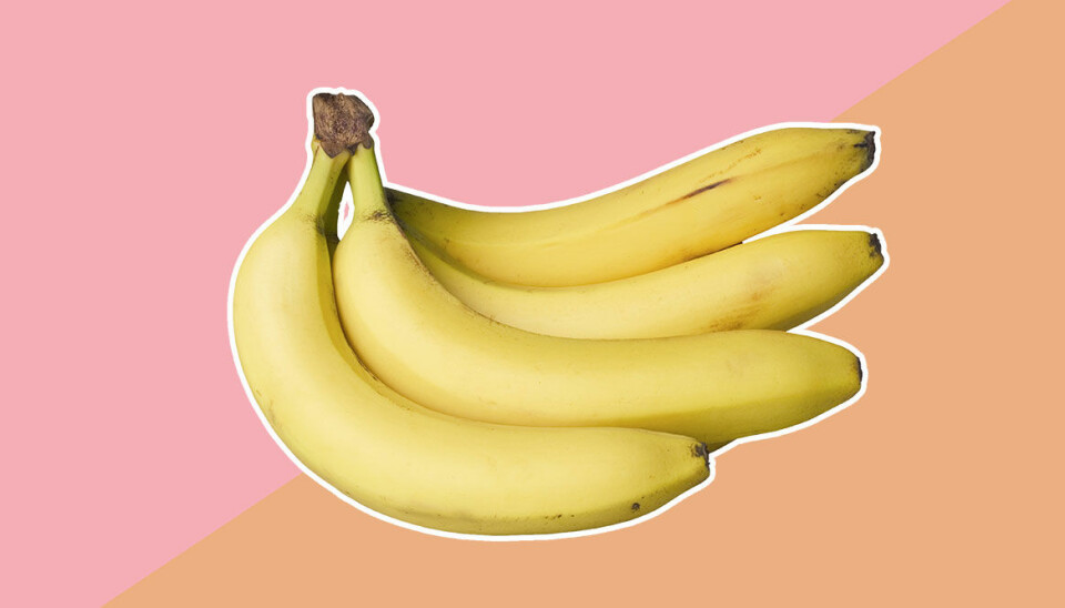 Därför ska du äta bananskalet (du kommer vilja testa!)