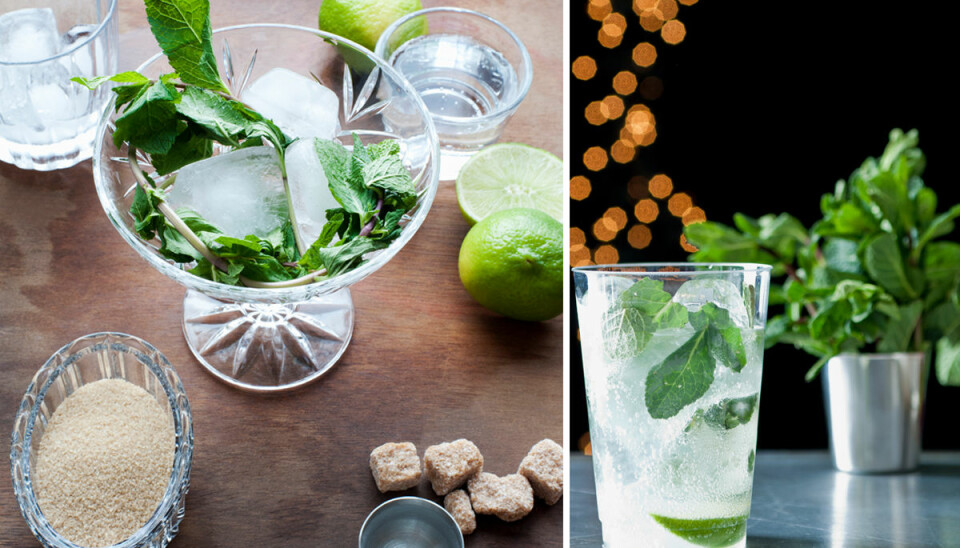 Recept: Alkoholfri drink med ginger beer och mynta