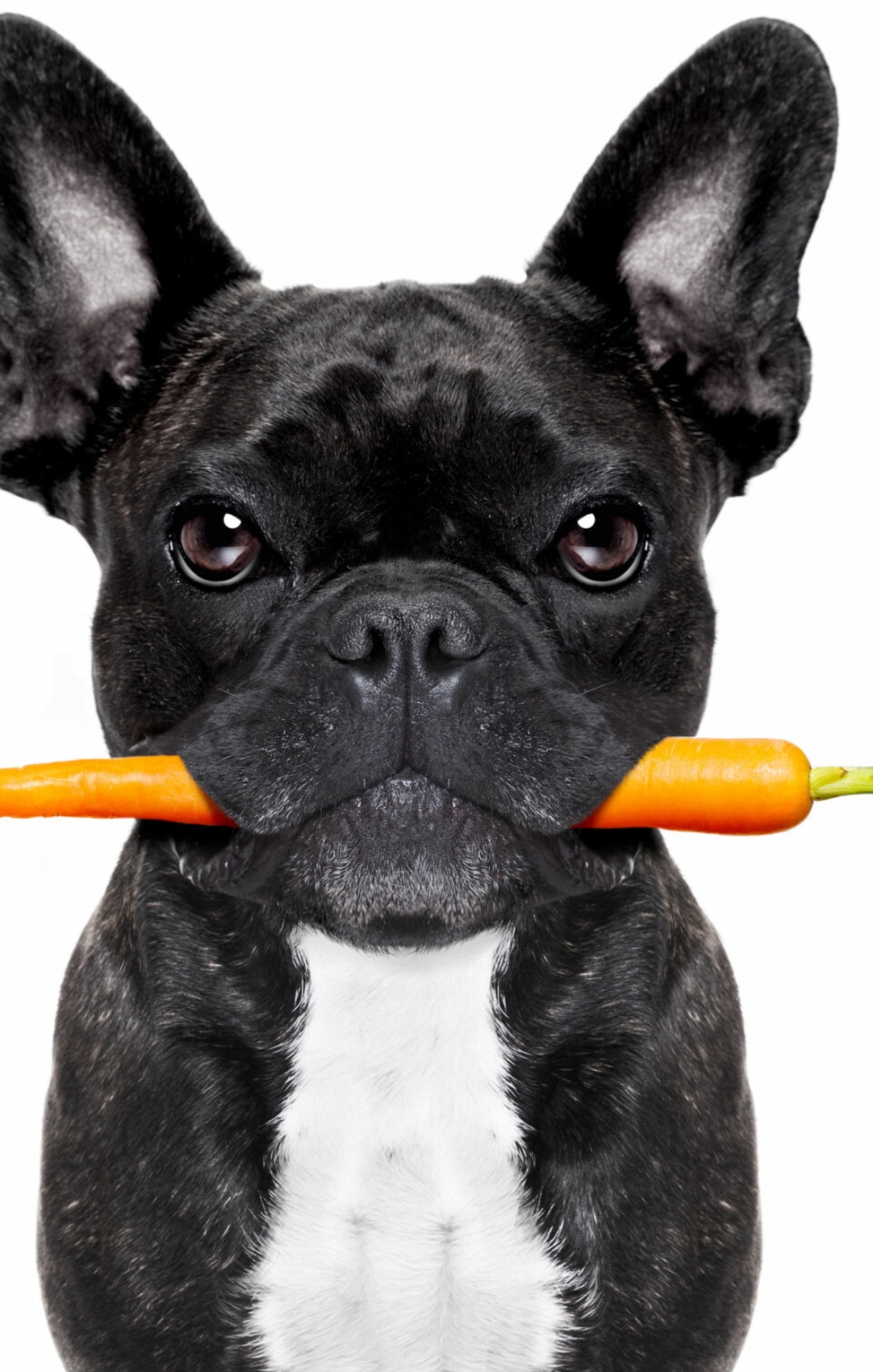 Stilikonen Poppy Delevingne: 'Jag har ett sjätte modesinne'