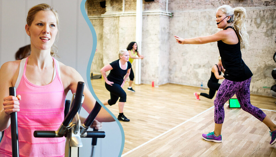 Den stora gymguiden – välj rätt gymkort för dig