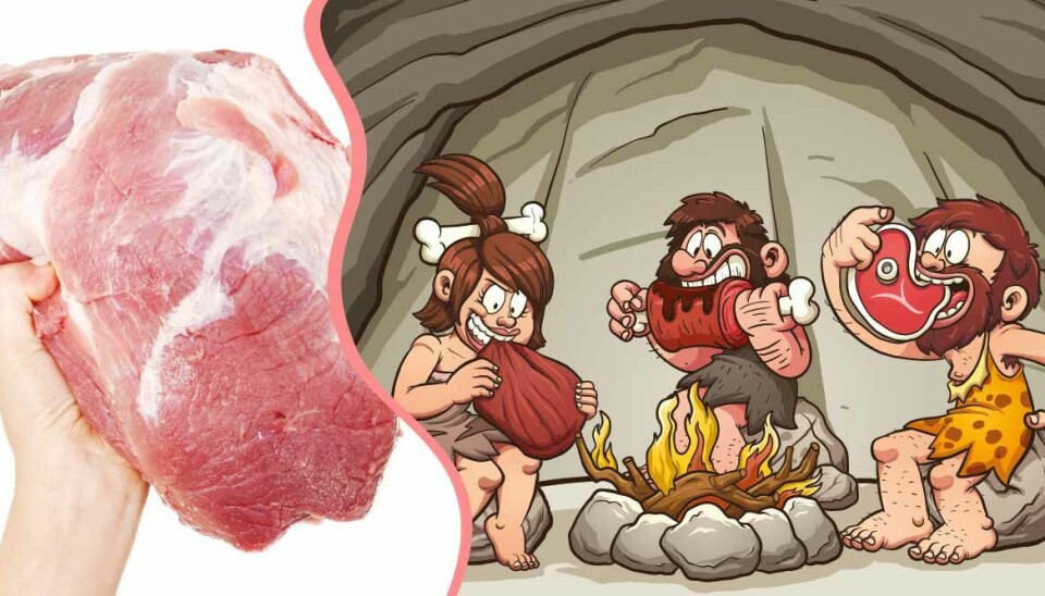 Paleo-bluffen – forskning visar att många stenåldersmänniskor var vegetarianer