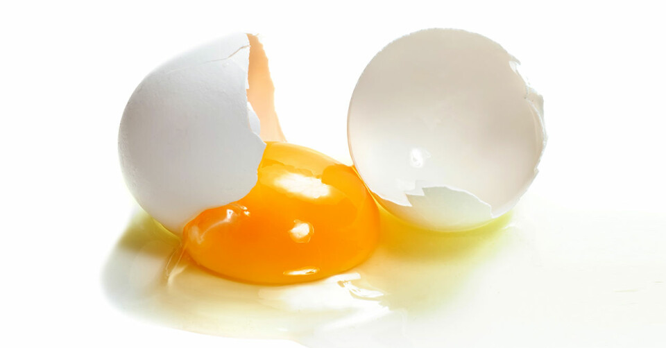 Börja dagen med mättande cirkusgröt – träningsprofilernas favoritfrukost