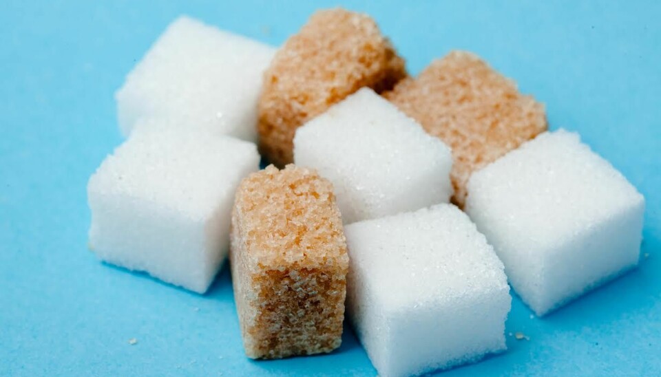 Så avslöjar du det dolda sockret i maten – 7 smarta tips