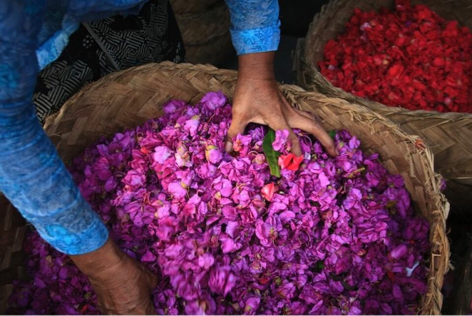 Sugen på en ny upplevelse? Här är världens 5 mest magiska resmål