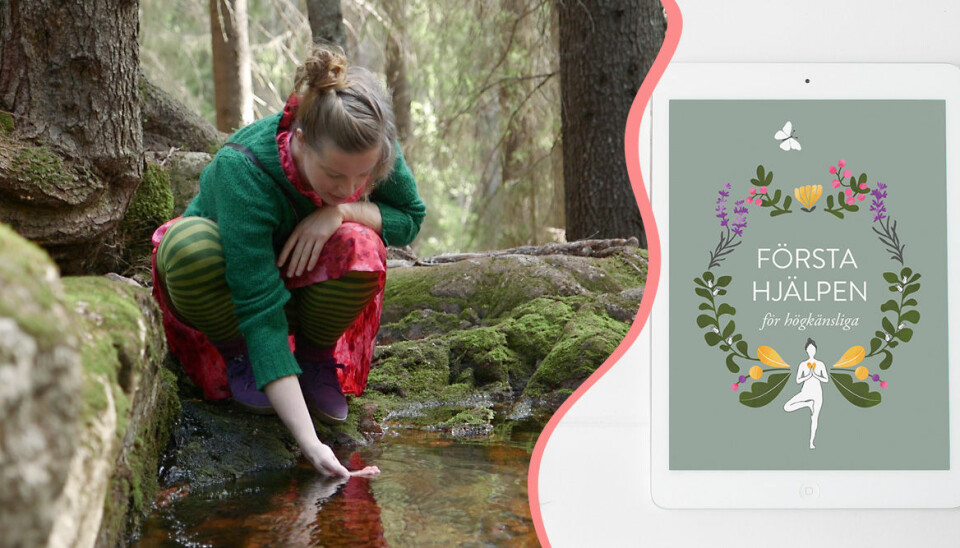 8 tips för högkänsliga – så går du från kaos till harmoni