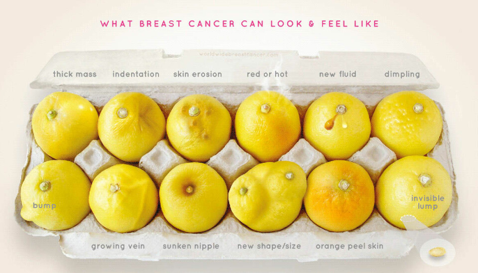 Här är bilden som ska hjälpa kvinnor att upptäcka bröstcancer