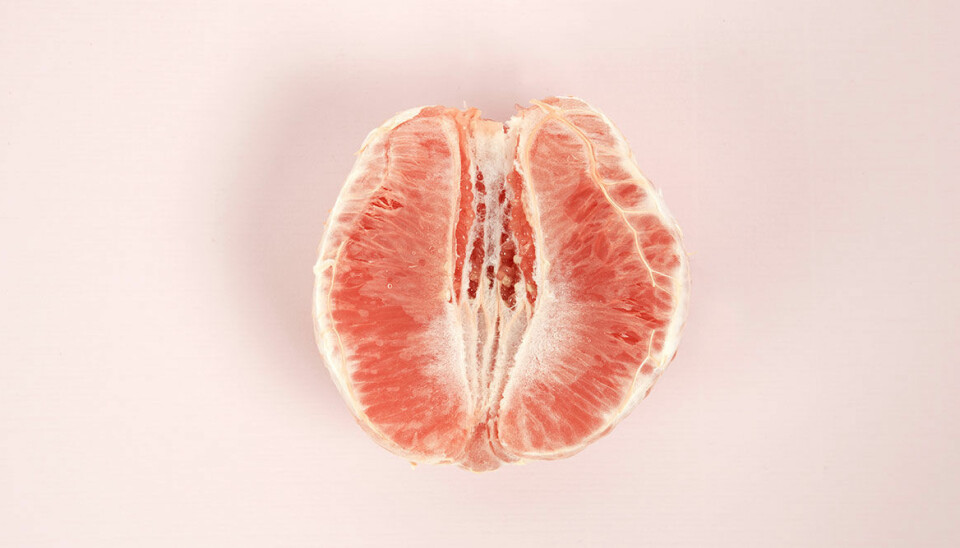 Det finns ingen ”normal vulva” när det kommer till utseendet