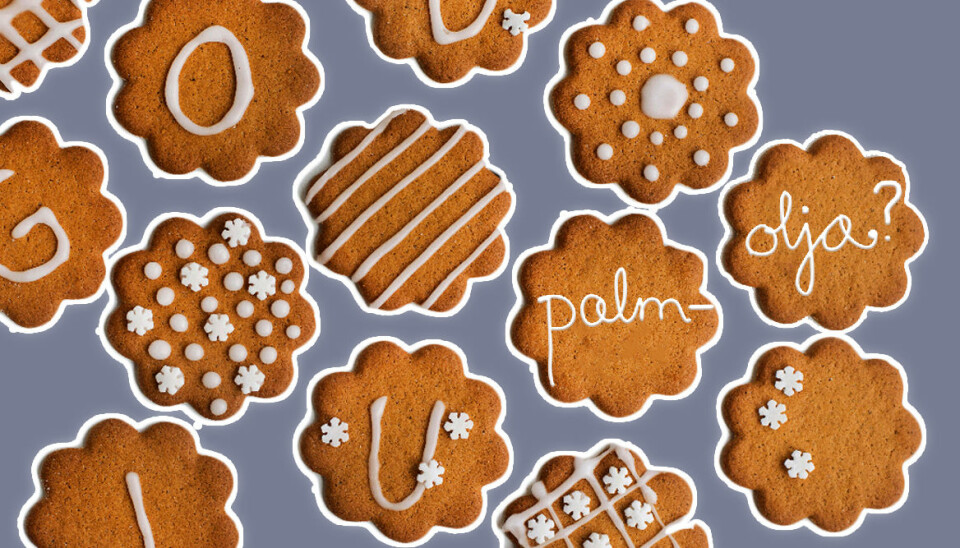 Här är pepparkakorna helt utan palmolja