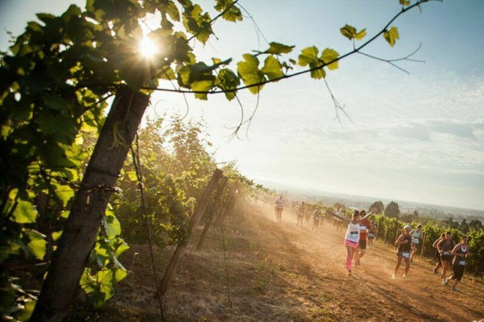 Bucket list: 9 lopp för dig som gillar vin, löpning och resor