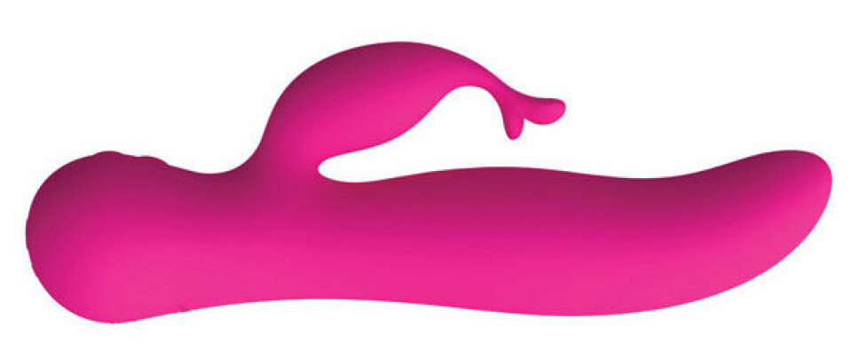 The Kissing Swan. The Kissing Swan.