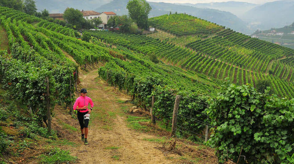 Bucket list: 9 lopp för dig som gillar vin, löpning och resor