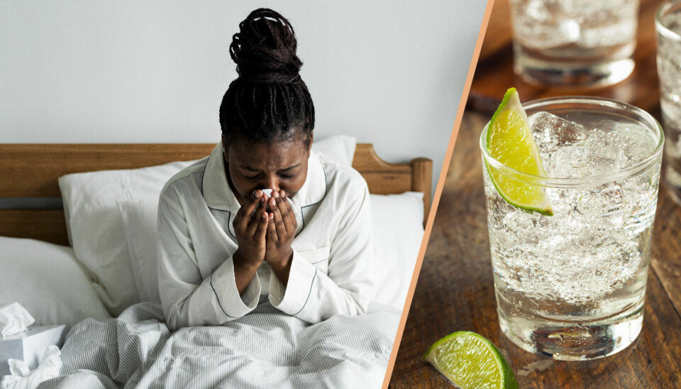 Därför är gin & tonic pollenallergikerns nya bästa vän