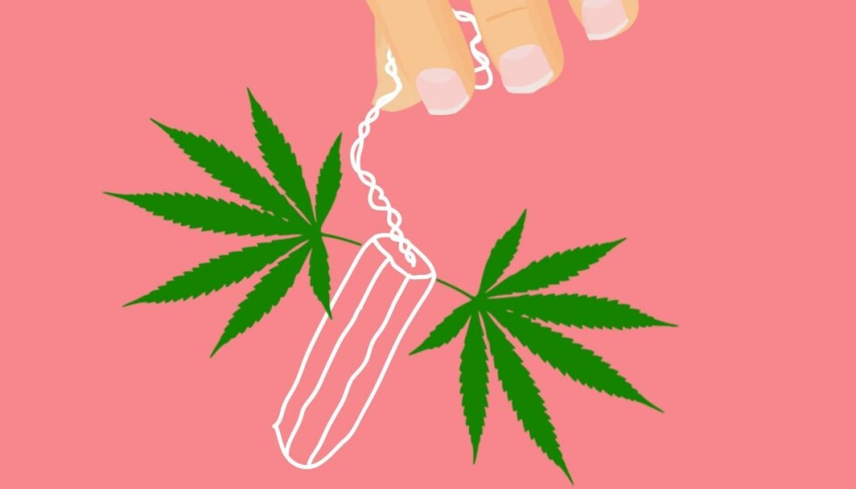 Ny tampong med cannabis ska lindra mensvärk