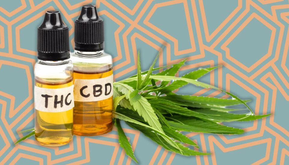 Allt du behöver veta om CBD-olja