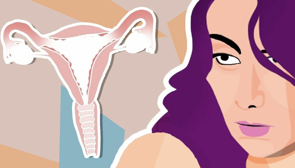 Så mycket påverkas du av dina kvinnliga könshormoner