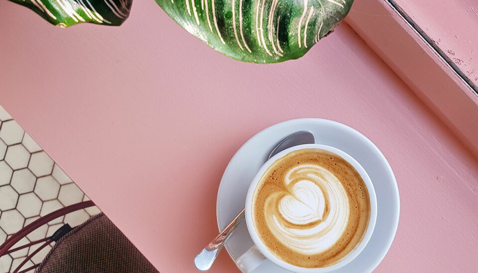 Ny studie: Inte ens 25 koppar kaffe per dag skadar hälsan