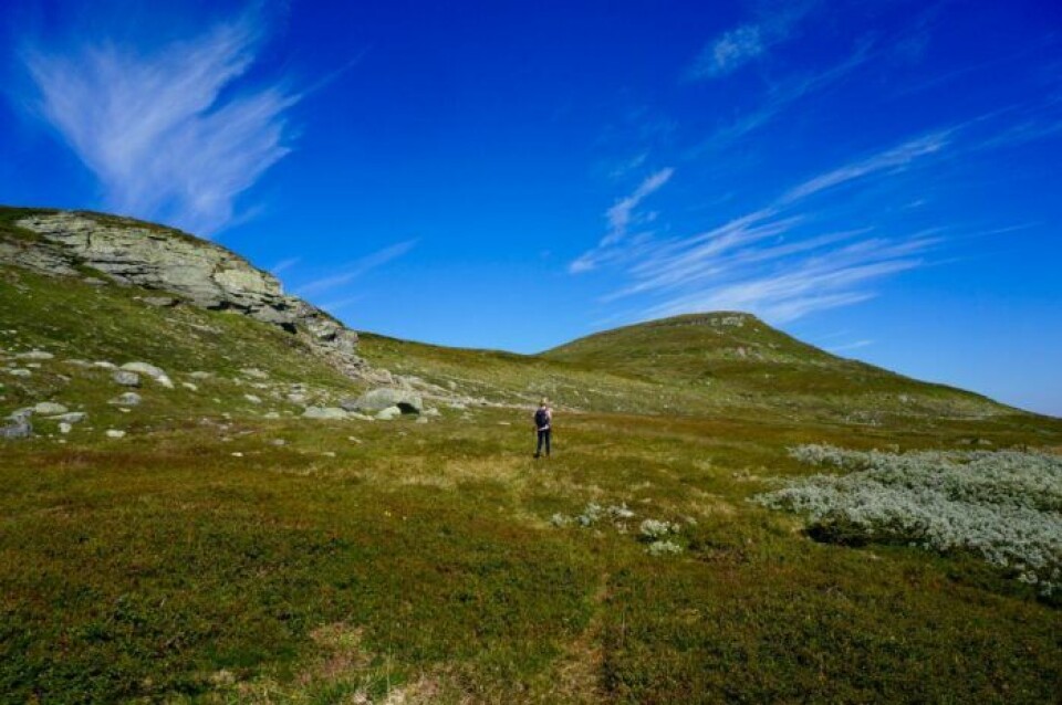 Bild: Funäsfjällen.se Bild: Funäsfjällen.se