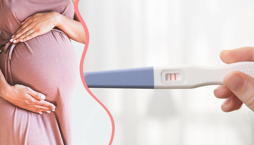 6 vanliga frågor och allt du behöver veta om graviditetstester