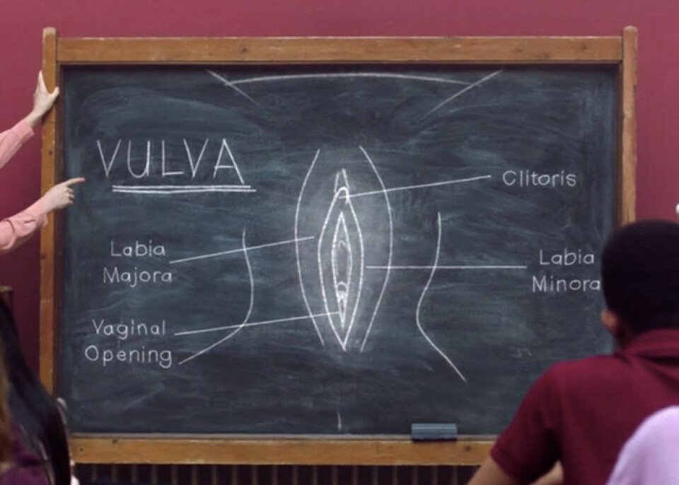 Så vet du om din vulva är i obalans – här är tecknen