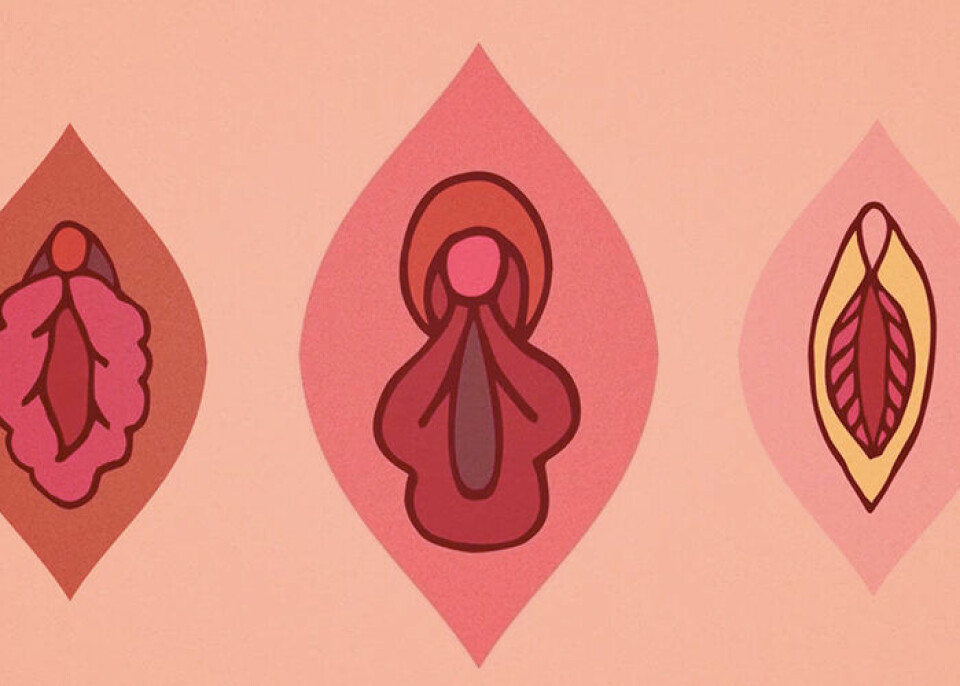 Så vet du om din vulva är i obalans – här är tecknen