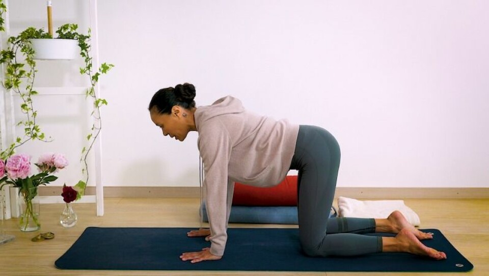 Yoga med Johanna: Ett pass som lindrar mensvärk och PMS
