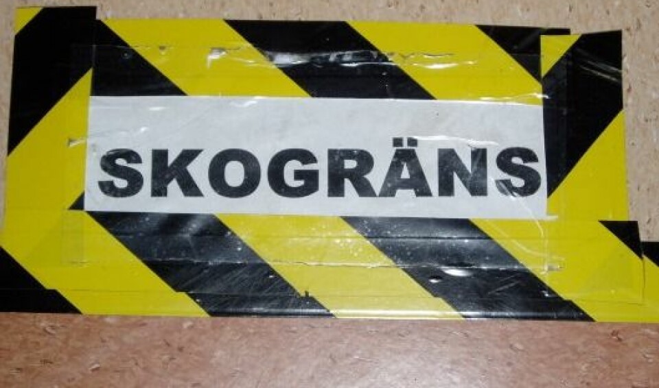 Härlig vårlöpning i Nikes nya klassiker