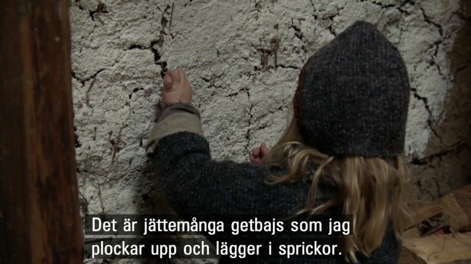 17 bevis på att Cleo är stjärnan i årets julkalender