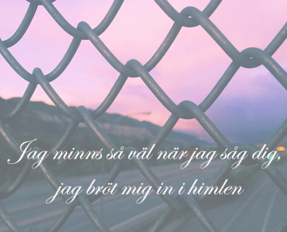 18 gånger Kent sjunger precis hur det känns att vara olyckligt kär