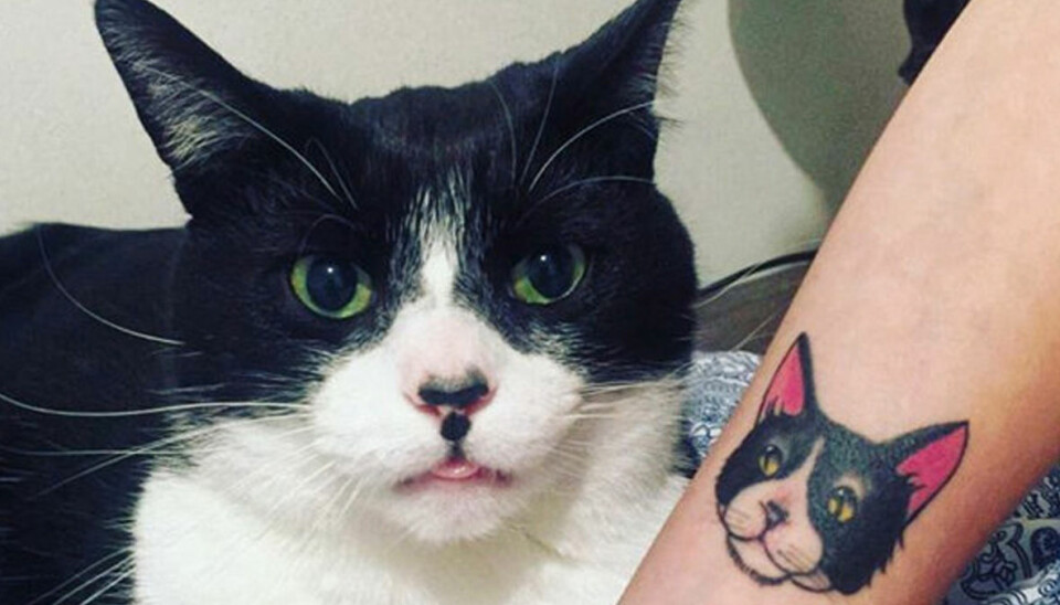 15 fantastiska tatueringar (perfekta för kattälskaren!)