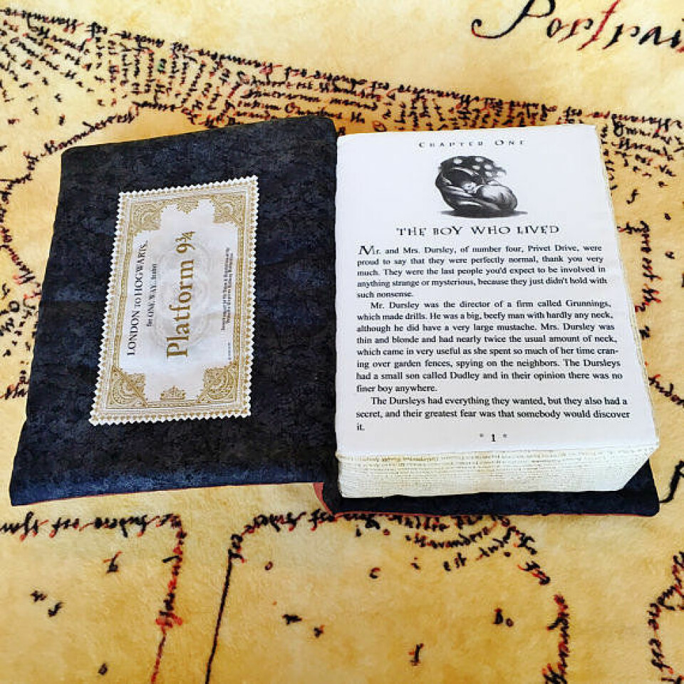 Kuddarna för dig som älskar Harry Potter (nej, vi skojar inte!)