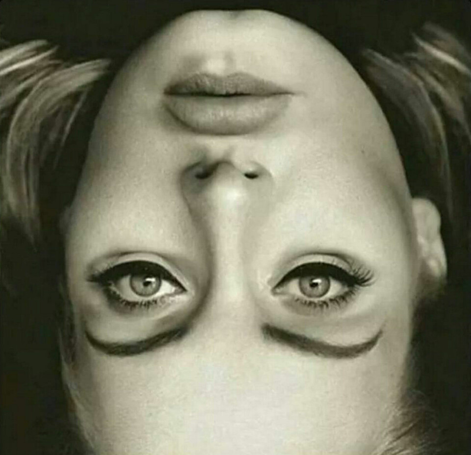 Bilden på Adele har fått internet att stanna upp i chock