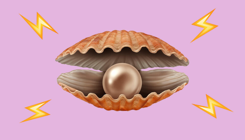 Så får du koll på klitoris (en gång för alla!)