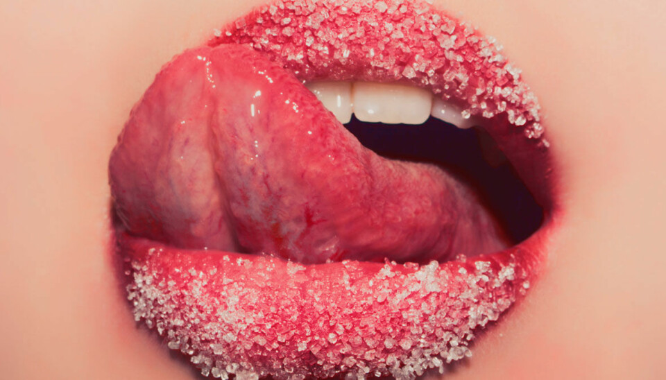 Myterna om menssex (som vi slår hål på!)