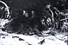 Sansa och Theon gömmer sig efter flykten.