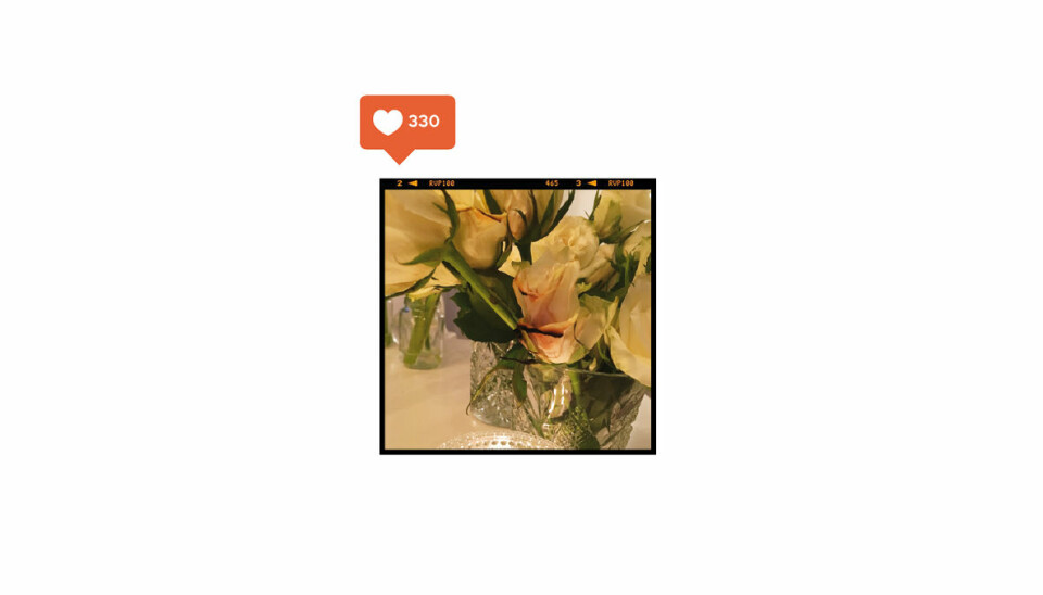 Mischa Barton besöker Miss Sixtys showroom