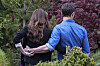 04/11/2016Dakota Johnson and Jamie Dornan spotted on The Set of Fifty Shades Darker looking quite like the couple. While frolicking through some shrubbery the two actors displayed their wedding bands through interlocking hands. Dakota was spotted in a black blazer and a low cut black skirt while co-star Jamie kept things casual in a blue button down oxford and dark blue jeans.   Please byline:TheImageDirect.com IBL