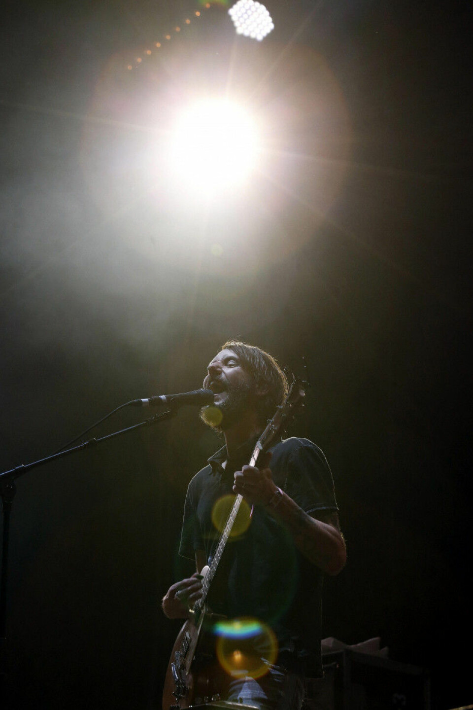 Band of horses